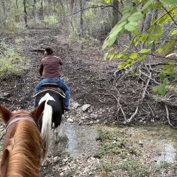 Touch of Chrome Trail Rides - Horseback Riding Near Me - Crowley, Texas Touch of Chrome Trail Rides - Horseback Riding Near Me - Crowley, Texas
