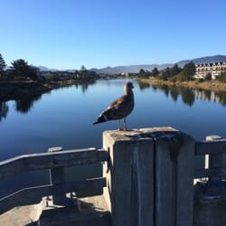 12th Avenue Bridge - 12th ave bridge