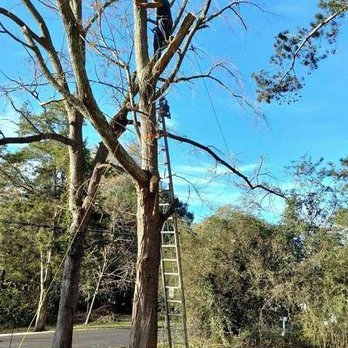 AR Tree Service - Tree Services Near Me AR Tree Service - Tree Services Near Me