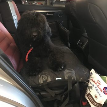 John's Pet Grooming - Pet Groomers Near Me - Orangevale, California