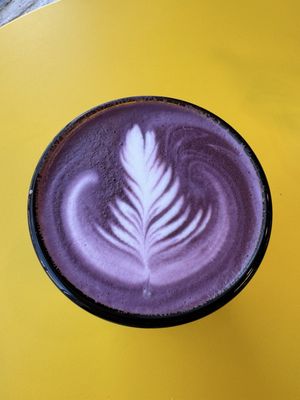 Voyager Craft Coffee HQ by null