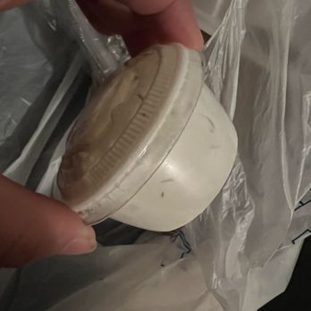 Soulard Gyro - Tzatziki sauce (looking expired) - Falafel Near Me - Wentzville, Missouri Soulard Gyro - Tzatziki sauce (looking expired) - Falafel Near Me - Wentzville, Missouri