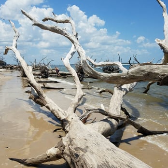 Big Talbot Island State Park - Tide is coming in. - Parks Near Me - Jacksonville, Florida Big Talbot Island State Park - Tide is coming in. - Parks Near Me - Jacksonville, Florida