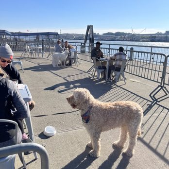 Mare Island Brewing - Ferry Taproom - The outside seating that is dog-friendly - Breweries Near Me - Vallejo, California