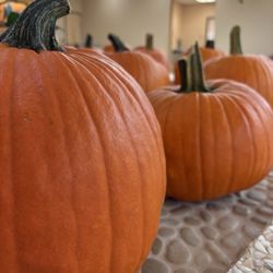 Rosenberg Library - October decor
