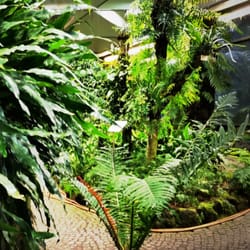 Botanischer Garten der Universität Hamburg - Botanischer Garten der Universität Hamburg: Klimazonen der kurzen Wege!
