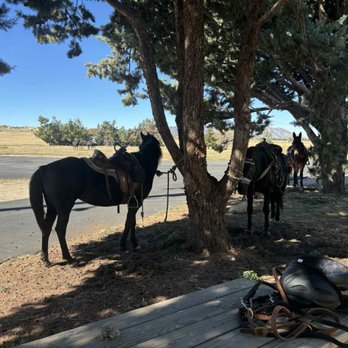 Raven's Nest - Coffee & Tea Near Me - Tehachapi, California