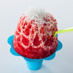 Hokulia Shave Ice - Highland - SnoCap and Coconut flakes!? Yes please!