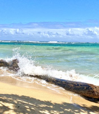 Hanalei Colony Resort by null