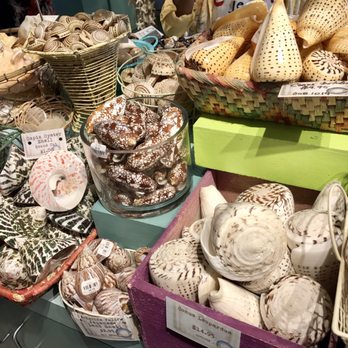 The Shell Cellar - Some of the pretty shells to choose from - Souvenir Shops Near Me - San Francisco, California The Shell Cellar - Some of the pretty shells to choose from - Souvenir Shops Near Me - San Francisco, California