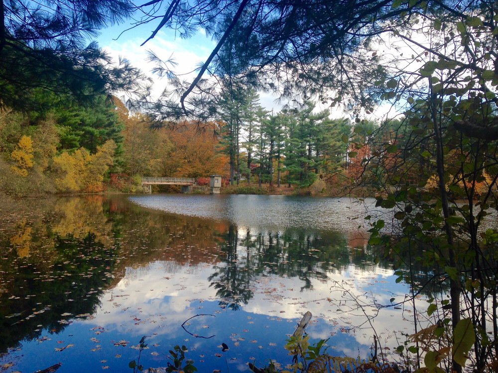 Shelton Lakes Recreation Path Logo