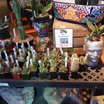 Eco Gro - Nurseries & Gardening Near Me - Tucson, Arizona Eco Gro - Nurseries & Gardening Near Me - Tucson, Arizona