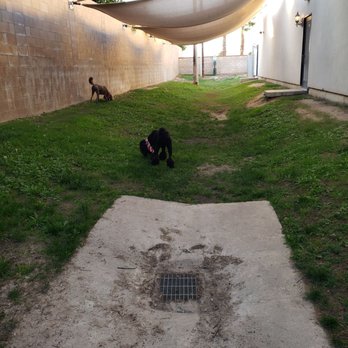 Bakersfield KOA Journey - Dog park - Resorts Near Me - Bakersfield, California