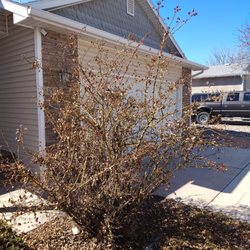 Juan's Lawncare and General Labor - Before