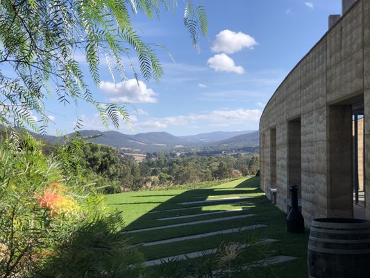 Tarrawarra Estate by null