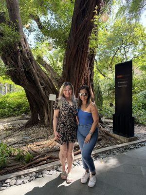 Ayala Museum by null