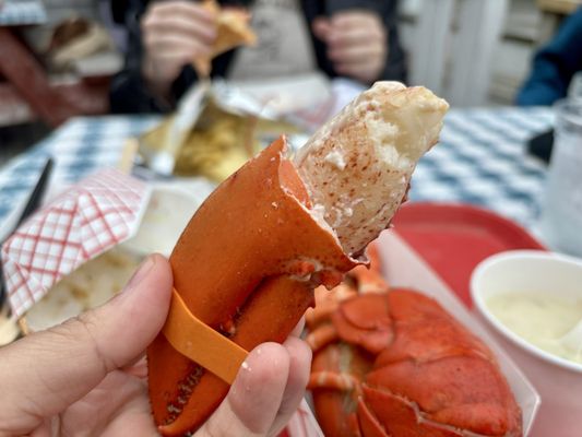 Roy Moore Lobster Company by null