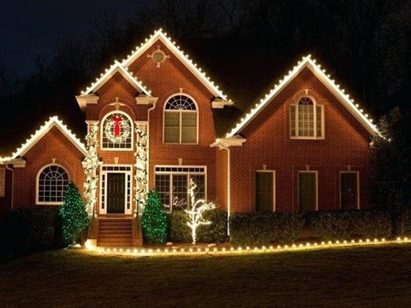 United Lawn Services - tree service in Eugene, OR