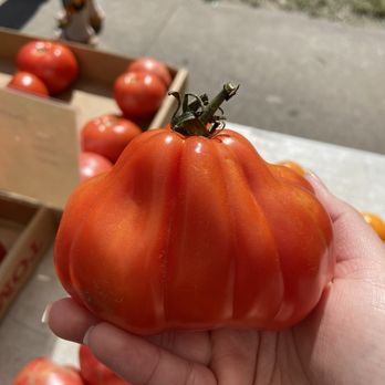 Flywheel Park - Produce from Piermont farmers market at Flywheel park - Parks Near Me - Piermont, New York Flywheel Park - Produce from Piermont farmers market at Flywheel park - Parks Near Me - Piermont, New York