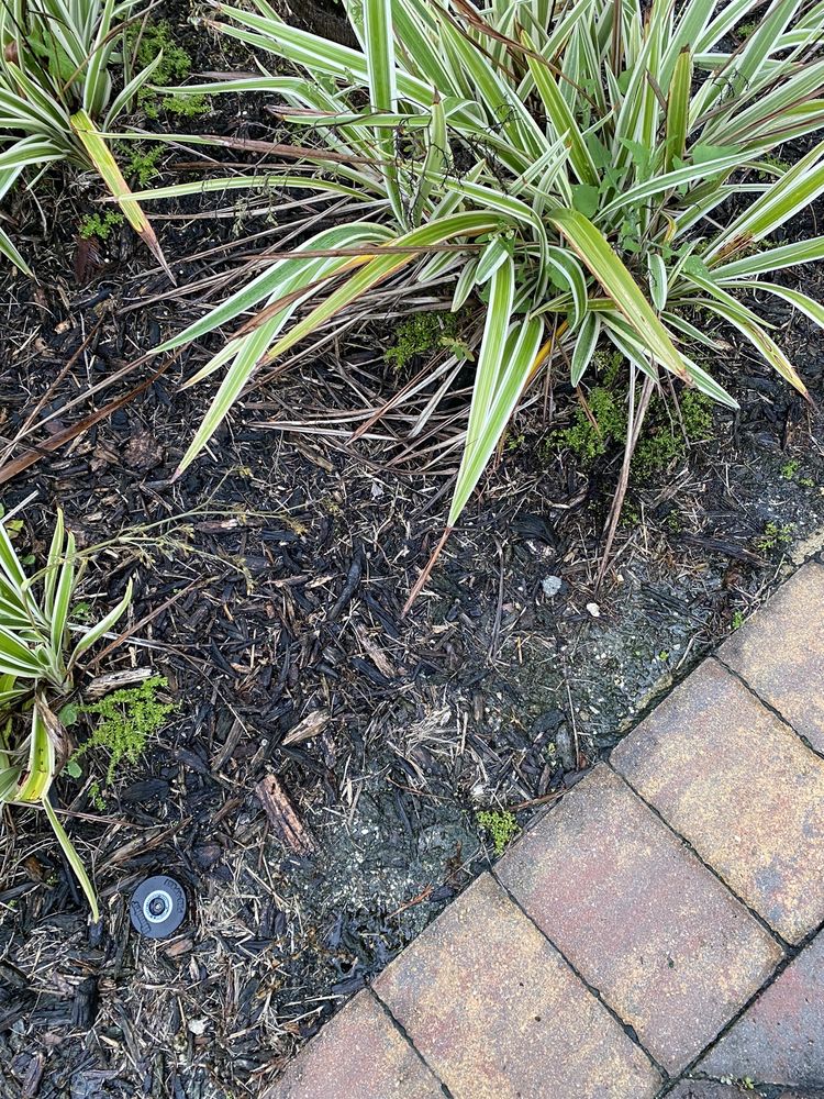 Landscaping BRIGHTVIEW Updated October 2024 17 Photos 16335 Old