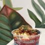 Photo of Earth Bowl Superfoods
