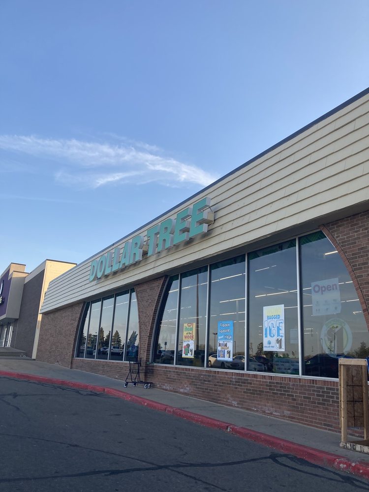 DOLLAR TREE Updated May 2024 5224 S Westnedge Ave, Portage