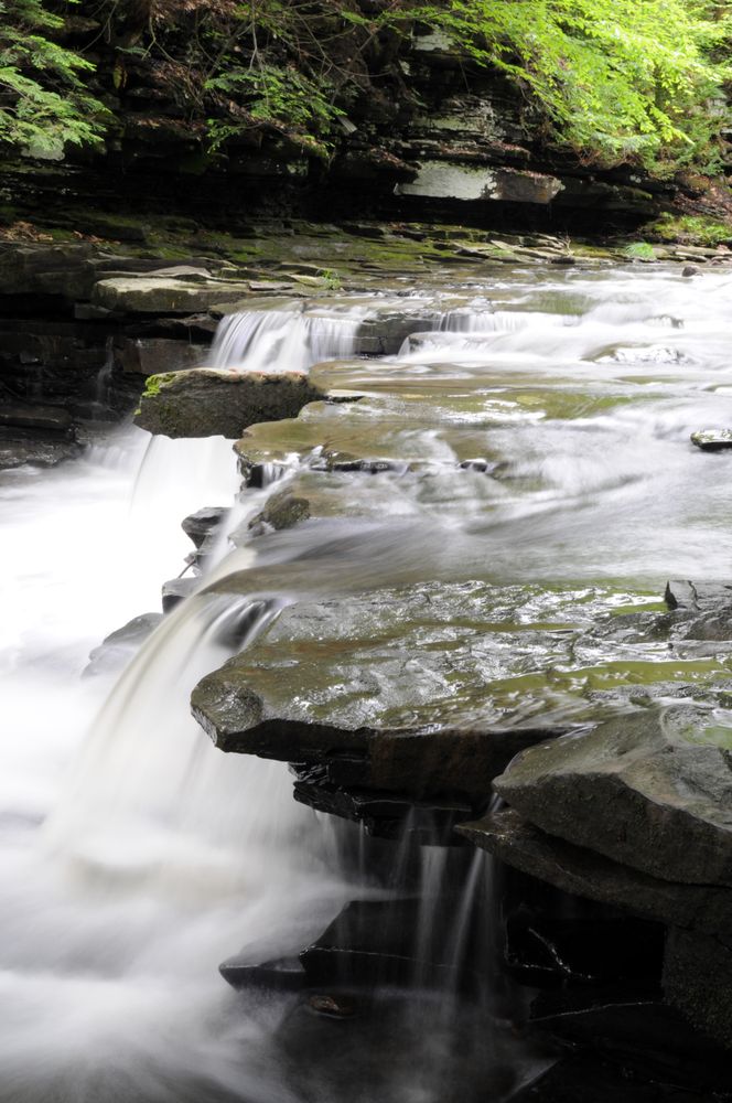 CHRISTMAN SANCTUARY Updated June 2024 32 Photos 3281 Schoharie