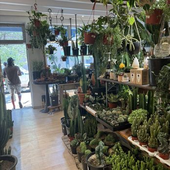Sabo - Home Decor Near Me - Santa Fe, New Mexico