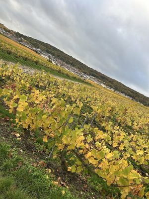 Paris Champagne Tour by null