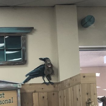 Trader Joe's - Grocery Near Me - Santa Fe, New Mexico