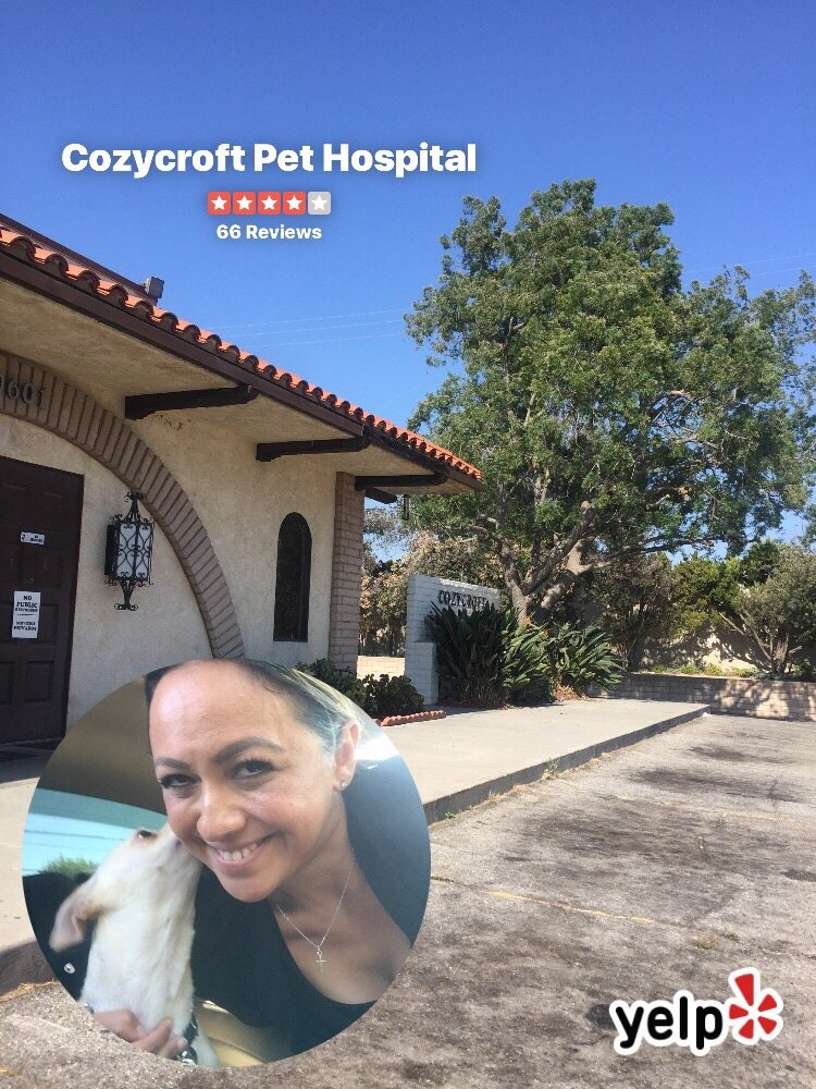 cozycroft pet hospital