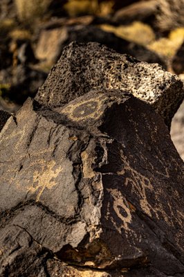 Petroglyph National Monument by null