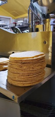 El Molino Tortilleria & Restaurant by null