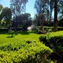 Photo of Benitez Tree Service