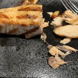 Salmon Salmon