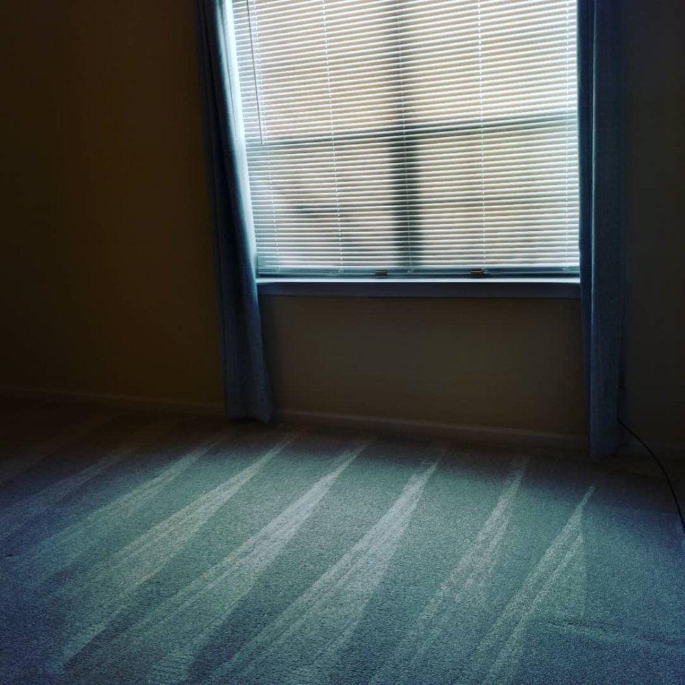 T’S MOP & GLO CLEANING SERVICE 10 DeWitt Street, Jacksonville, North