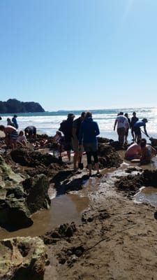Hot Water Beach TOP 10 Holiday Park by null