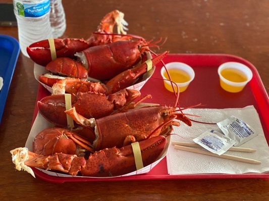 Markey's Lobster Pool by null