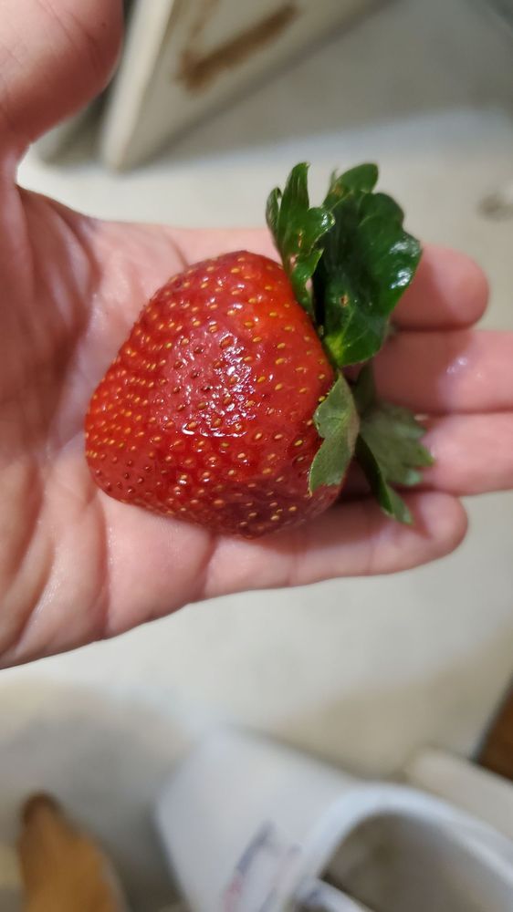 COSTCO 12 Photos & 27 Reviews Wholesale Stores 507 Piney Grove Rd, Columbia, SC Phone