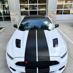 Titan Tint and Wraps