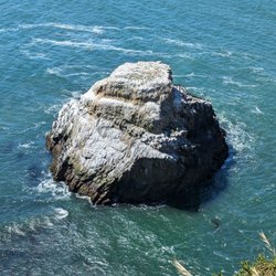 Chimney Rock - Point Reyes National Seashore - Chimney Rock