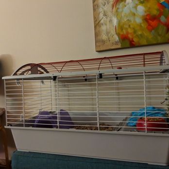 Petco - Pet Stores Near Me - Palm Desert, California
