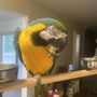 Photo of Paws Purrs & Exotics Animal Hospital