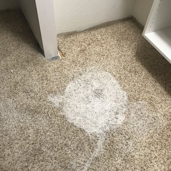 All N 1 Painting - An of paint spilled on the carpet - Painters Near Me