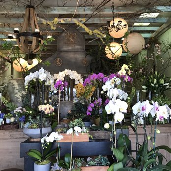 The Conservatory Florist - The shop front - Florists Near Me - Los Angeles, California