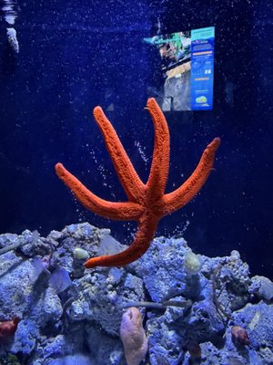 L’Aquàrium de Barcelona by null