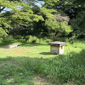 Kualoa Ranch - Movie site with small pillbox - Tours Near Me - Kaneohe, Hawaii Kualoa Ranch - Movie site with small pillbox - Tours Near Me - Kaneohe, Hawaii