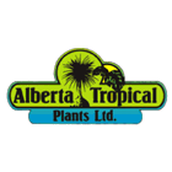 Top 10 Best House Plants in Calgary, AB - Last Updated December 2020 - Yelp