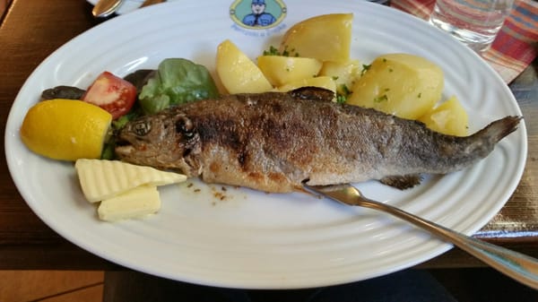 U Švejka by null