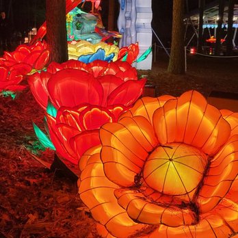 Chinese Lantern Festival - IG: @the_n.c_foodie - Festivals Near Me - Cary, North Carolina